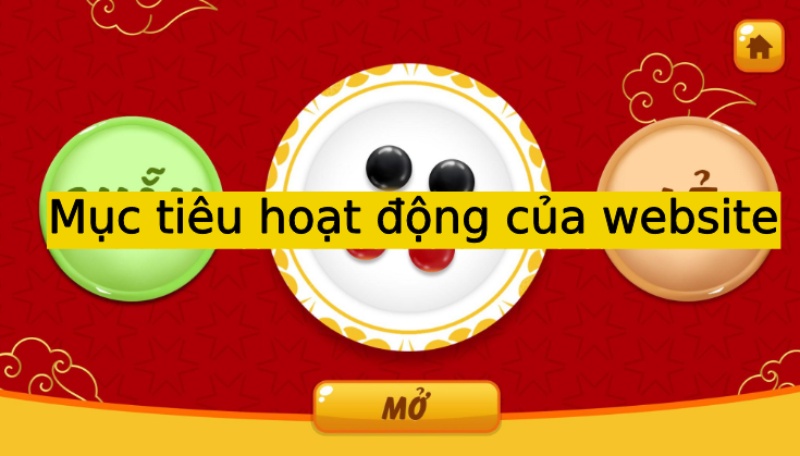 Mục tiêu hoạt động lâu dài của website hiện nay